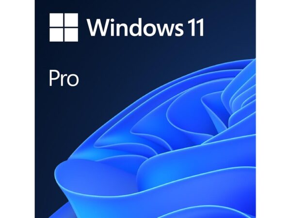 windows 11 professional price in dubai